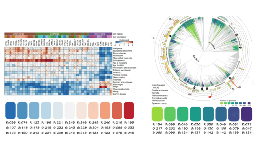 屏幕截图 2025-03-06 192050.png