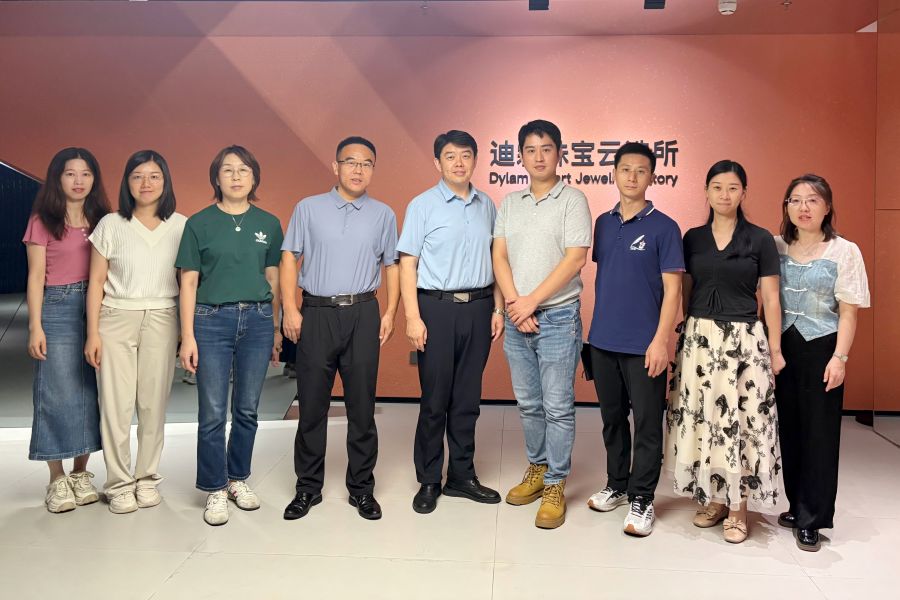 广东迪霖珠宝（集团）有限公司 (1).jpg