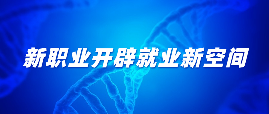 新职业开辟就业新空间